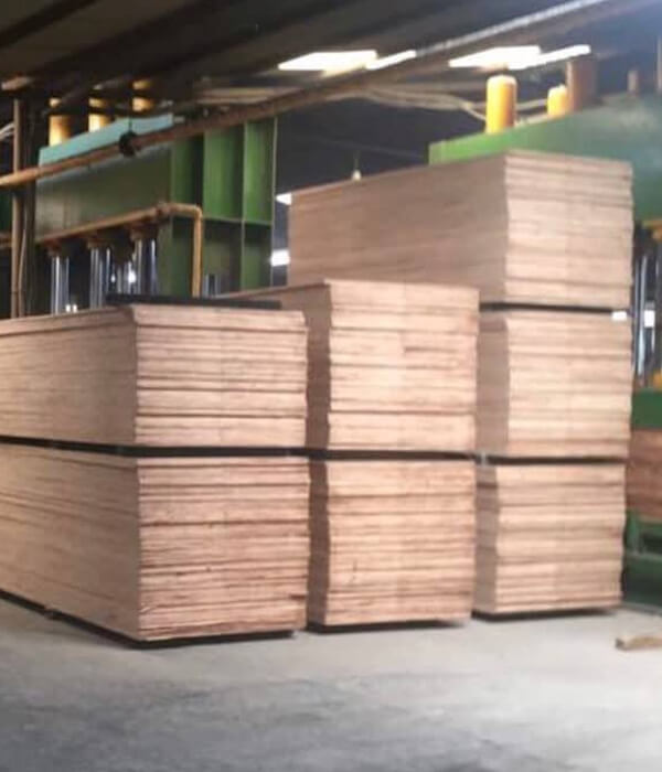 Slide hình ảnh thực tế sản phẩm của Woodee